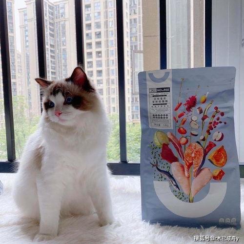 国产猫粮怎么配对啊视频,视频揭秘科学配对秘诀