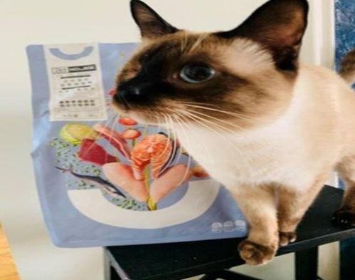 国产猫粮怎么配对啊视频,视频揭秘科学配对秘诀