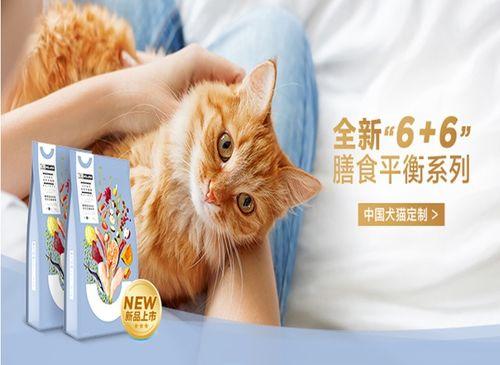 国产猫粮怎么配对啊视频,视频揭秘科学配对秘诀