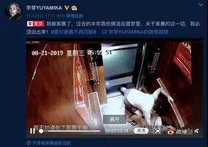 国产网红外流视频,外流视频背后的文化魅力与影响力