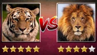 四虎的国产视频下载,揭秘热门影视资源下载攻略