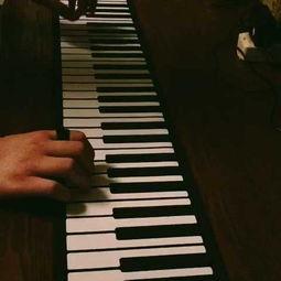 国产钢琴大王是谁啊视频,探寻民族品牌辉煌历程